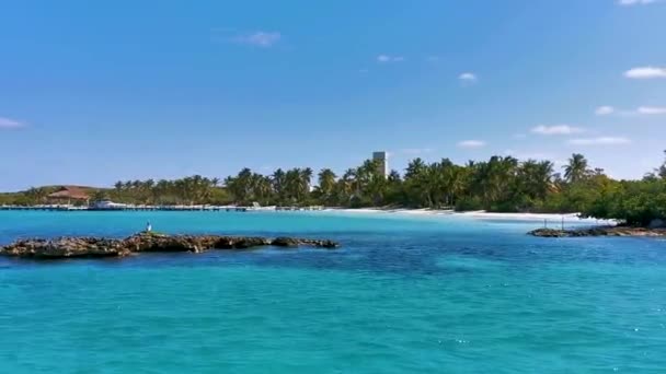 Amazing Landscape Panorama View Turquoise Blue Water Palm Trees Blue — Stock Video