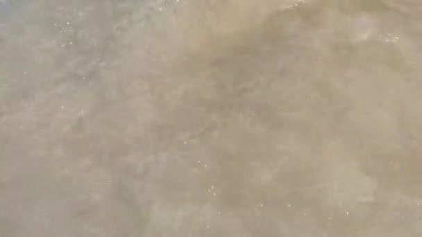 Beach White Sand Turquoise Water Waves Starfish Isla Contoy Island — Stock Video