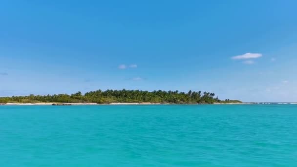 Vue Panoramique Imprenable Sur Paysage Avec Des Palmiers Eau Bleu — Video