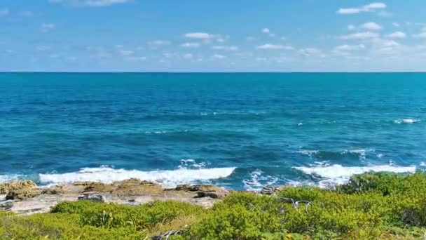 位于墨西哥金塔纳罗奥岛美丽的康托岛上 绿松石蓝水棕榈树蓝天 热带天然海滩和丛林森林 风景迷人 — 图库视频影像