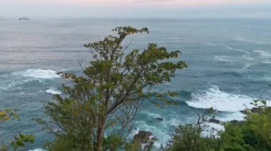 Punta ve Playa Cometa günbatımı dalgalarla uçurum uçurumları dağ tepeleri kayalar tropik doğa orman manzaralı kayalar Mazunte Oaxaca Meksika manzaralı.