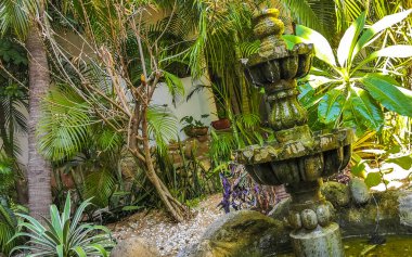 Zicatela Puerto Escondido Oaxaca Meksika 'da yosun ile bahçedeki nostaljik yeşil çeşme.