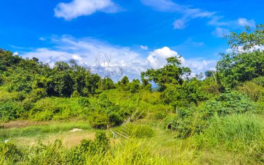 Mazunte Oaxaca Meksika 'daki tropikal orman dağlarını ve kırsal araziyi geç..