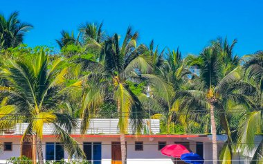 Zicatela Puerto Escondido Oaxaca Meksika 'daki palmiye ağaçları arasında cennetteki oteller ve binalar.