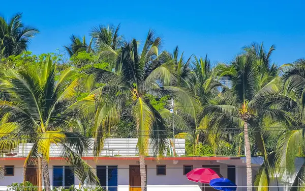 Zicatela Puerto Escondido Oaxaca Meksika 'daki palmiye ağaçları arasında cennetteki oteller ve binalar.