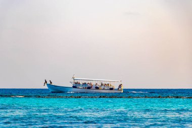 Rasdhoo Mercan Maldivleri 'ndeki Rasdhoo adasındaki mavi turkuaz suda bir sürat teknesinin motoru..