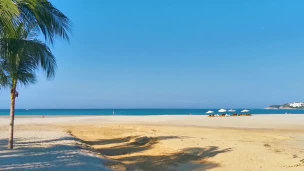 Palmeras Sombrillas Sombrillas Tumbonas Hotel Resort Playa Playa Tropical Mexicana — Vídeos de Stock