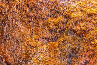 Doi Suthep Yürüyüş Yolu üzerindeki güzel şelale Wat Pha Lat tropikal orman doğa ormanlarında Chiang Mai Amphoe Mueang Mai Tayland, Güneydoğu Asya.