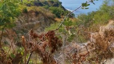 Güzel kayalıklar kayalar kayalar dağlar palmiye ağaçları ve büyük sörfçüler Bacocho Puerto Escondido Oaxaca 'daki plajda tropik doğal manzara dalgaları..