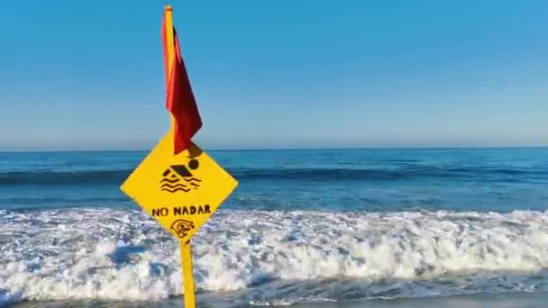Czerwona Flaga Pływanie Zabronione Wysokie Fale Zabawy Zabłąkany Pies Zwierzę — Wideo stockowe