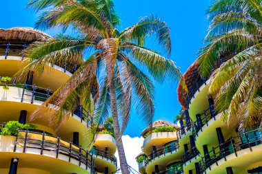 Playa del Carmen Quintana Roo Mexico 'daki Karayipler' deki büyük tatil ve otel kompleksi deniz ve palmiye ağaçları.