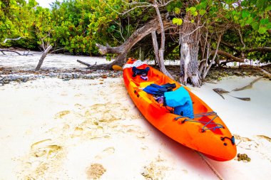 Rasdhoo Atoll Maldivleri 'ndeki Rasdhoo Adası' ndaki tropik ada doğasında kano turu..