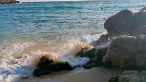 ビーチサンドターコイズブルーウォーターロック崖は 太陽の自然のヤシの木とプエルトエスコンディドーオアハカメキシコのビーチプラヤカリサリロの巨大なサーファー波を巻き込む — ストック動画