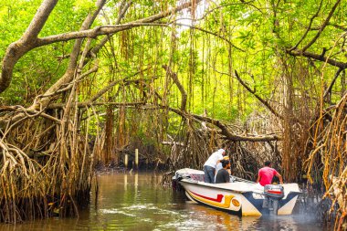 Bentota Sahili Galle Bölgesi, Güney Sri Lanka Bölgesi Bentota Ganga Nehri Gölü 'ndeki mangrov ormanlarında tekne safarisindeki insanlar..