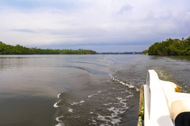 Bentota Sahili Galle Bölgesi, Güney Sri Lanka Bölgesi Bentota Ganga Nehri Gölü 'ndeki mangrov ormanlarında tekne safarisi..