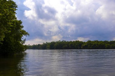 Bentota Sahili, Galle Bölgesi, Güney Sri Lanka Bölgesi Bentota Ganga Gölü 'ndeki tropikal doğal mangrov ormanlarında tekne safarisi..