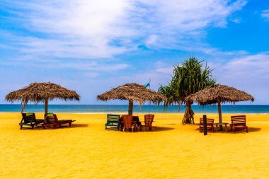 Tropikal doğayla güzel bir sahil. Sri Lanka adasındaki Bentota Sahili 'nde insanlar güneşleniyor..