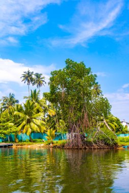 Bentota Sahili, Galle Bölgesi, Güney Sri Lanka Bölgesi Bentota Ganga Nehri Gölü 'ndeki mangrov ormanlarında tekne gezisi tekneleri..
