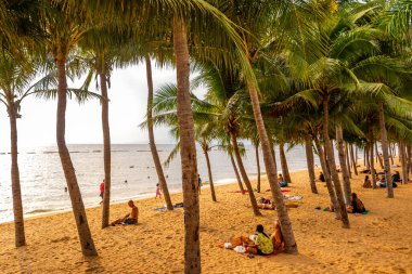 Pattaya Chon Buri Tayland 25. Ekim 2018 Tropikal plaj dalgaları su, insanlar palmiye ağaçları ve gökdelenler Jomtien Sahili Pattaya Bang Lamung Chon Buri Tayland, Güney Asya.