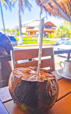 Zicatela Puerto Escondido Oaxaca Meksika 'daki masada saman bulunan tropik hindistan cevizi..