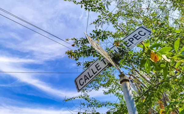 stock image Blue and white road street signs and name for orientation of streets and roads in Zicatela Puerto Escondido Oaxaca Mexico.