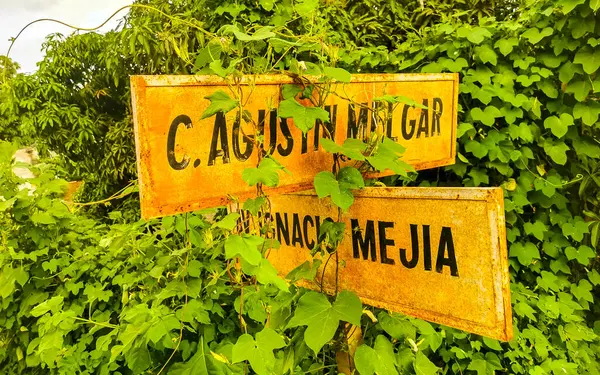 Sarı turuncu ve beyaz yol tabelaları ve Zicatela Puerto Escondido Oaxaca 'da mavi gökyüzü olan cadde ve yolların oryantasyonu için isim.