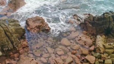 Zicatela Puerto Escondido Oaxaca Meksika 'da deniz kestaneleriyle birlikte suda kayalar ve taşlar..