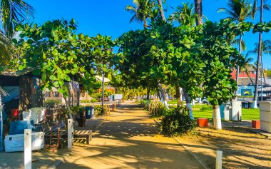 Restoran restoranlarının barları otellerde palmiye ağaçları ve Zicatela Puerto Escondido Oaxaca 'daki sahilde gezinti yerleri satıyor..
