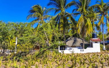Restoran restoranlarının barları otellerde palmiye ağaçları ve Zicatela Puerto Escondido Oaxaca 'daki sahilde gezinti yerleri satıyor..
