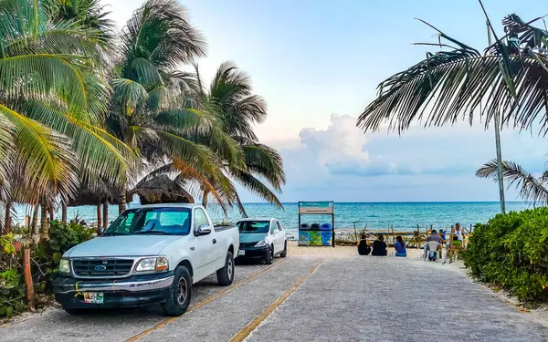 Playa del Carmen Quintana Roo Meksika 03. Mayıs 2023 Doğal Karayip Sahil Bilgi Panosu Palapa kulübesi Playa del Carmen Meksika 88 tropik Meksika plajına hoş geldiniz..