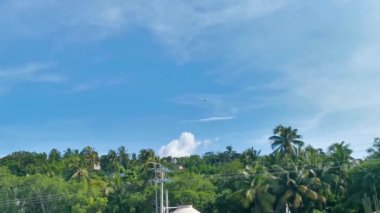 Uçak, Puerto Escondido zicatela Oaxaca Meksika 'daki palmiye ağaçları ve dağların üzerinden uçuyor..