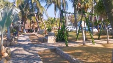 Restoran restoranlarının barları otellerde palmiye ağaçları ve Zicatela Puerto Escondido Oaxaca 'daki sahilde gezinti yerleri satıyor..