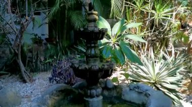 Zicatela Puerto Escondido Oaxaca Meksika 'da yosun ile bahçedeki nostaljik yeşil çeşme.
