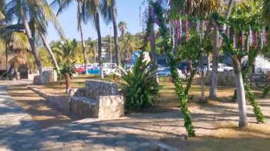 Restoran restoranlarının barları otellerde palmiye ağaçları ve Zicatela Puerto Escondido Oaxaca 'daki sahilde gezinti yerleri satıyor..