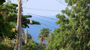 Zicatela Puerto Escondido Oaxaca Meksika 'daki Pasifik Okyanusu ve tropikal orman manzarası.