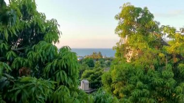 Zicatela Puerto Escondido Oaxaca Meksika 'daki Pasifik Okyanusu ve tropikal orman manzarası.