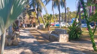 Restoran restoranlarının barları otellerde palmiye ağaçları ve Zicatela Puerto Escondido Oaxaca 'daki sahilde gezinti yerleri satıyor..