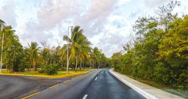 Playa del Carmen Quintana Roo Meksika 'daki tropikal doğa ormanında yol ve patika.