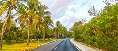 Playa del Carmen Quintana Roo Meksika 'daki tropikal doğa ormanında yol ve patika.