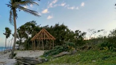 Playa del Carmen Quintana Roo Meksika 'daki Karayipler sahilinde palmiye ağaçları olan tropikal ormandaki ahşap kulübeler..