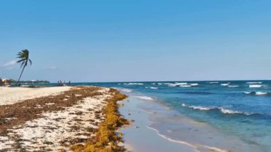 Çok eğlenceli insanlarla dolu tropik Meksika Karayip plajı ve denizi Playa del Carmen Meksika 'da güneş şemsiyesi turkuaz su..