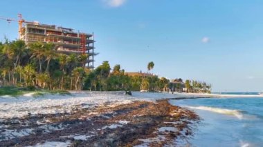 Playa del Carmen Quintana Roo Meksika 'da berrak turkuaz mavi su ve yosun yosunu otları ile tropik Karayip sahili manzarası.
