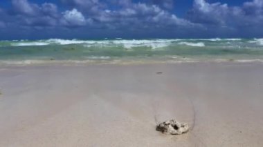 Playa del Carmen Meksika 'da berrak turkuvaz mavi suları ve büyük dalgaları olan muhteşem tropik Meksika Karayip plajı ve deniz manzarası manzarası..