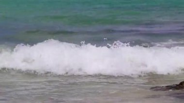 Playa del Carmen Mexico 'da turkuaz mavi su dalgalarıyla inanılmaz tropikal Meksika Karayip plajı ve deniz manzarası manzarası..