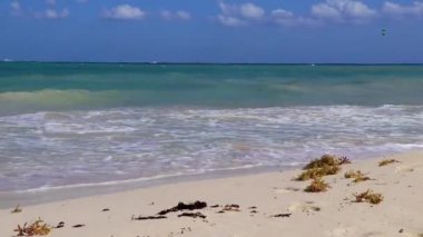 Playa del Carmen Mexico 'da turkuaz mavi su dalgalarıyla inanılmaz tropikal Meksika Karayip plajı ve deniz manzarası manzarası..