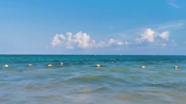Playa del Carmen Mexico 'da turkuaz mavi su dalgalarıyla inanılmaz tropikal Meksika Karayip plajı ve deniz manzarası manzarası..