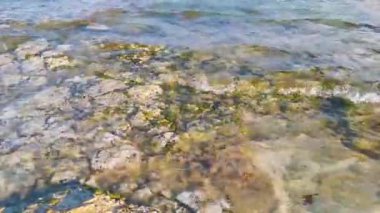 Playa del Carmen Quintana Roo Meksika 'daki Karayipler sahilinde turkuaz yeşil ve mavi sularda kayalar ve mercanlar..