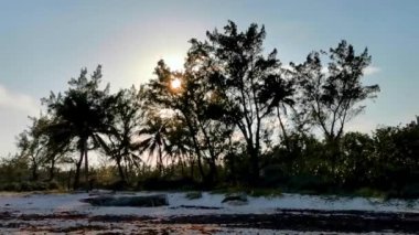 Playa del Carmen Mexico 'da turkuaz mavi su tatil beldeleri ve palmiye ağaçlarıyla tropikal Meksika Karayip Sahili manzarasında muhteşem ve renkli gün batımı..