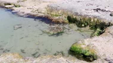 Plaj okyanusunda Quintana Roo Mexico 'da Playa del Carmen' de kumlu, küçük, güzel mağara mağarası su dalgaları..