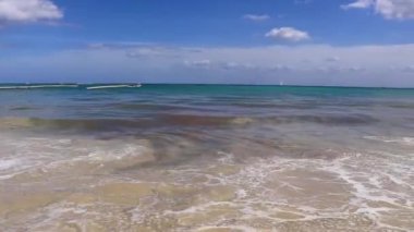 Playa del Carmen Mexico 'da turkuaz mavi su dalgalarıyla inanılmaz tropikal Meksika Karayip plajı ve deniz manzarası manzarası..